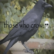 a black bird with a skull and the words those who crow below it