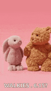 two stuffed animals are standing next to each other on a pink background .