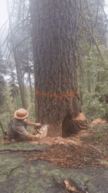 Logging Logger GIF - Logging Logger Lumberjack GIFs