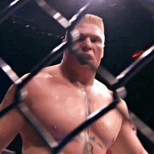 Brock Lesnar Ufc GIF - Brock Lesnar Ufc Ultimate Fighting Championship GIFs