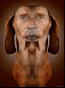 Willem Dafoe Dog GIF - Willem Dafoe Dog Symmetrical GIFs