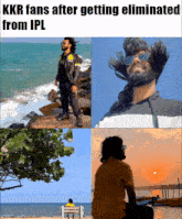 Ipl Ipl Rambo GIF - Ipl Ipl Rambo Kkr Fans GIFs