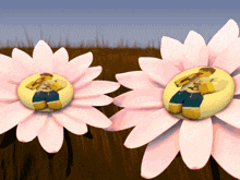 two flowers with a picture of a person on them