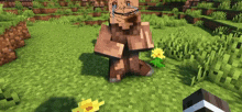 a minecraft character with a funny face is standing in a field