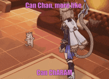 Can Chan Cat GIF - Can Chan Cat Pardofelis GIFs