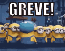 GIF