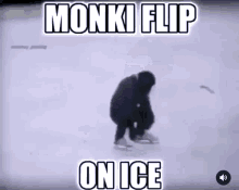 Monki Monkey GIF - Monki Monkey Monki Flip GIFs