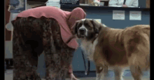 Biggestass Dog GIF - Biggestass Dog Eddie Murphy GIFs