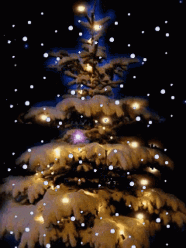 christmas animated gifs lights
