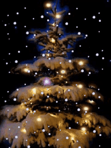Christmas Lights GIFs | Tenor