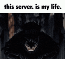 This Server Is My Life Batman GIF