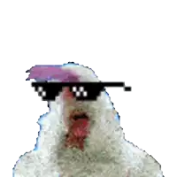 a pixelated image of a chicken wearing a pair of sunglasses