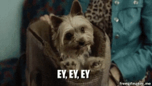 Axe Ey Ey Ey GIF - Axe Ey Ey Ey Chill GIFs