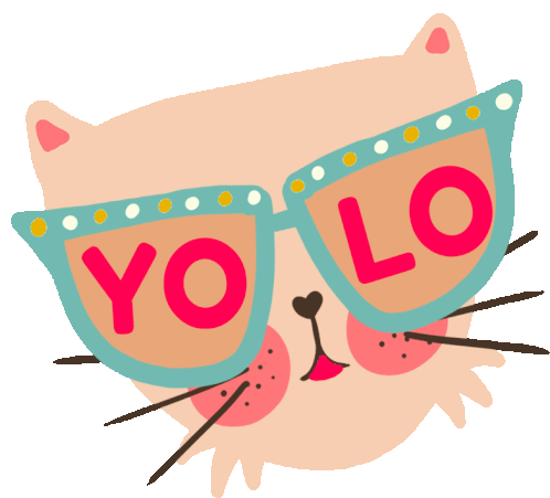 Cat Yolo Sticker - Cat Yolo Life Stickers