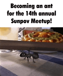 Sunpov Sunpov Meetup GIF