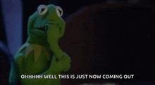 The Muppets Kermit The Frog GIF - The Muppets Kermit The Frog Smh GIFs