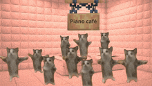 a group of cats standing in front of a piano cafe sign