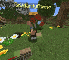 a screenshot of a video game with the words solidarity gaming on the top