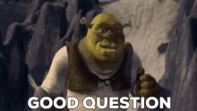 Shrek Good Question GIF - Shrek Good Question Meme GIFs