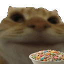 Cat Cereals Sticker - Cat Cereals Cat Eating Stickers