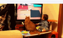 Cats Baby GIF - Cats Baby Tv GIFs