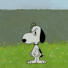 a cartoon character named snoopy is standing in a field of grass