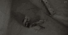 a woman is laying on the ground wearing a fur coat and a bra .
