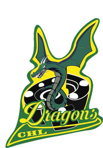 Dragons Hockey Sticker - Dragons Hockey Ribabellosa Stickers