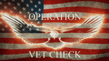 Operation Vetcheck GIF - Operation Vetcheck Veteran GIFs