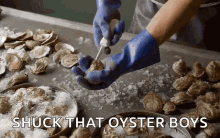 oyster kerang shucking tiram