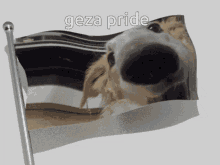 Geza Gezzie GIF - Geza Gezzie Pride GIFs