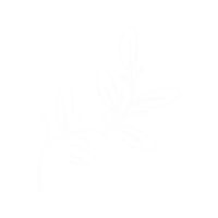 a drawing of a branch with leaves on a white background