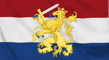 a flag with a lion holding a sword and a crown on it