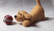 Dog Dog Ball GIF