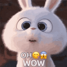 a cartoon rabbit with big eyes is making a surprised face and saying `` oh wow '' .