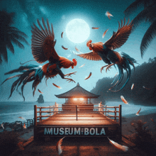two roosters are fighting in front of a museum of bola sign