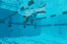 Swimming Swimtime GIF - Swimming Swim Swimtime GIFs