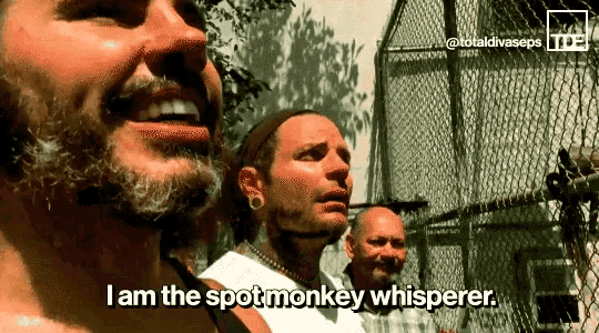 matt-hardy-monkey-broken.png