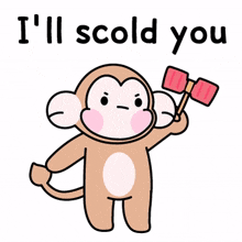 socld monkey