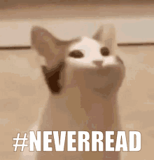 Neverread Popcat GIF - Neverread Popcat GIFs