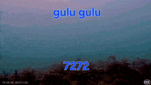 a video of a coral reef with the words gulu gulu 7272
