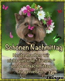 a picture of a yorkshire terrier wearing a flower crown with the words schönen nachmittag