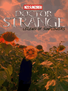 a poster for doctor strange legend of sunflowers with a person in a field of sunflowers
