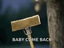 a wooden sign that says baby come back is hanging from a tree .