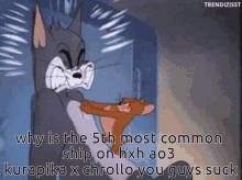 a cartoon of tom and jerry with the caption why is the 5th most common ship on hxh ao3 kurapika x chrollo