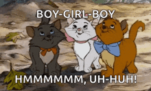 three cats are standing next to each other with the caption boy-girl-boy