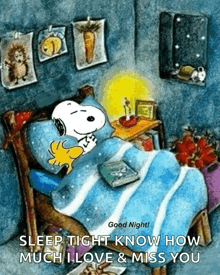 Snoopy In Bed GIF - Snoopy In Bed GIFs