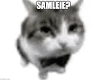 Samleie Skibid Toalett GIF