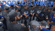 Dodgers Win GIF - Dodgers Win GIFs