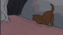 1. Going To Bed At A Reasonable Hour Is, Contrary To What You Used To Believe, Extremely Cool. GIF - Bedtime Blanket Aristocats GIFs